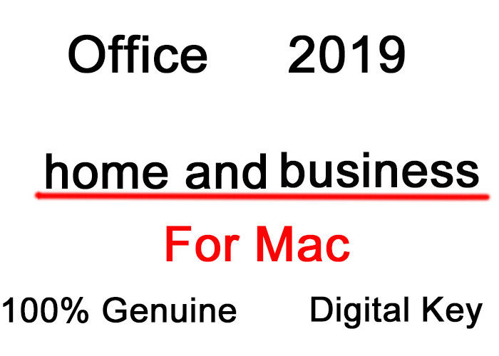 Oficina 2019 PP Unbinded 1 oficina 2019 de la PC favorable más Retail/MSDN