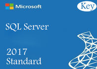 Llave en línea de la venta al por menor del código de la licencia de la base del estándar 24 del SQL Server 2017 global