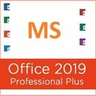 Favorable trabajo del usuario el 100% del más 5 de U Microsoft Office 2019 al por menor